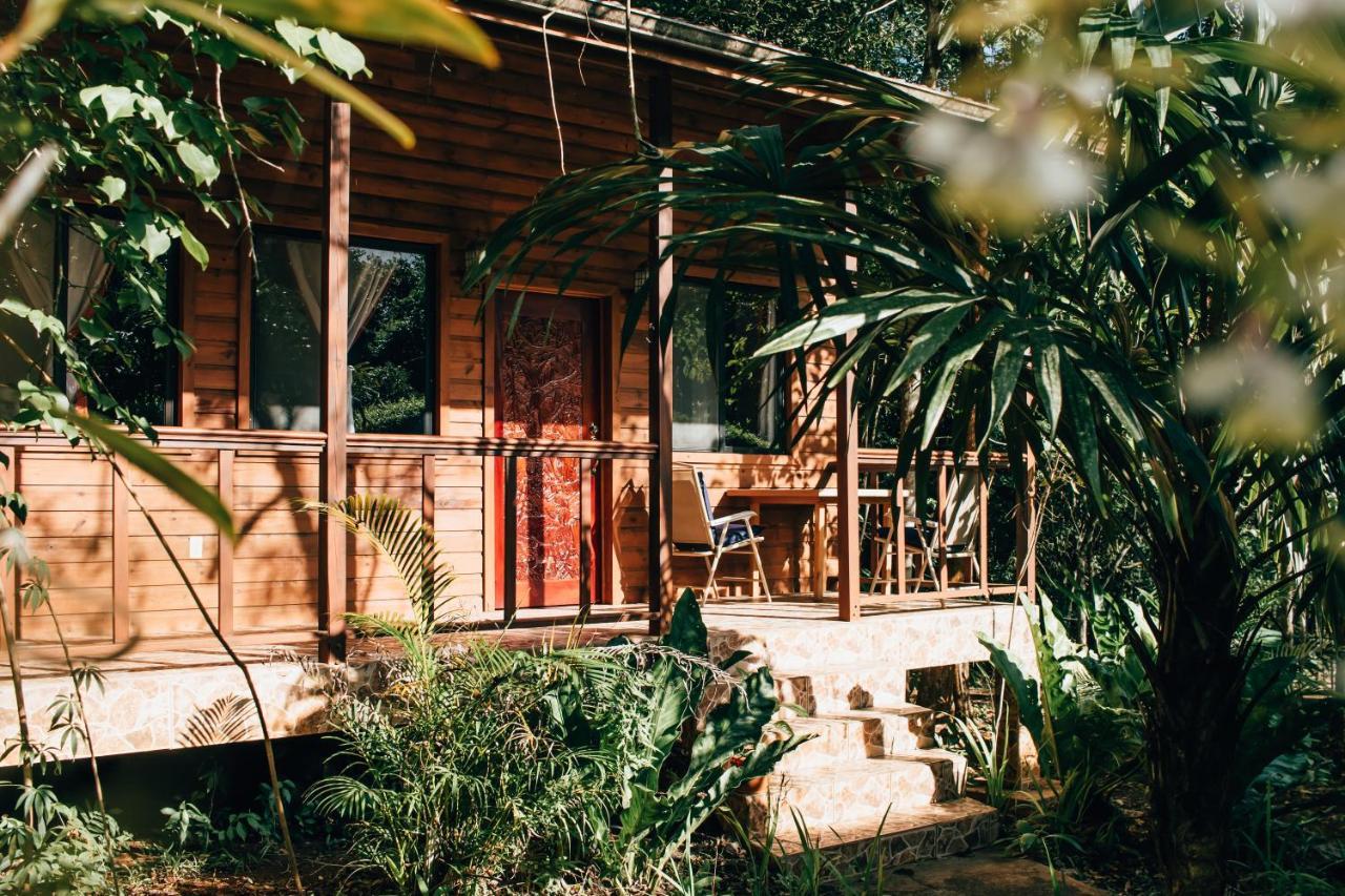 Mariposa Jungle Lodge Сан Игнасио Екстериор снимка