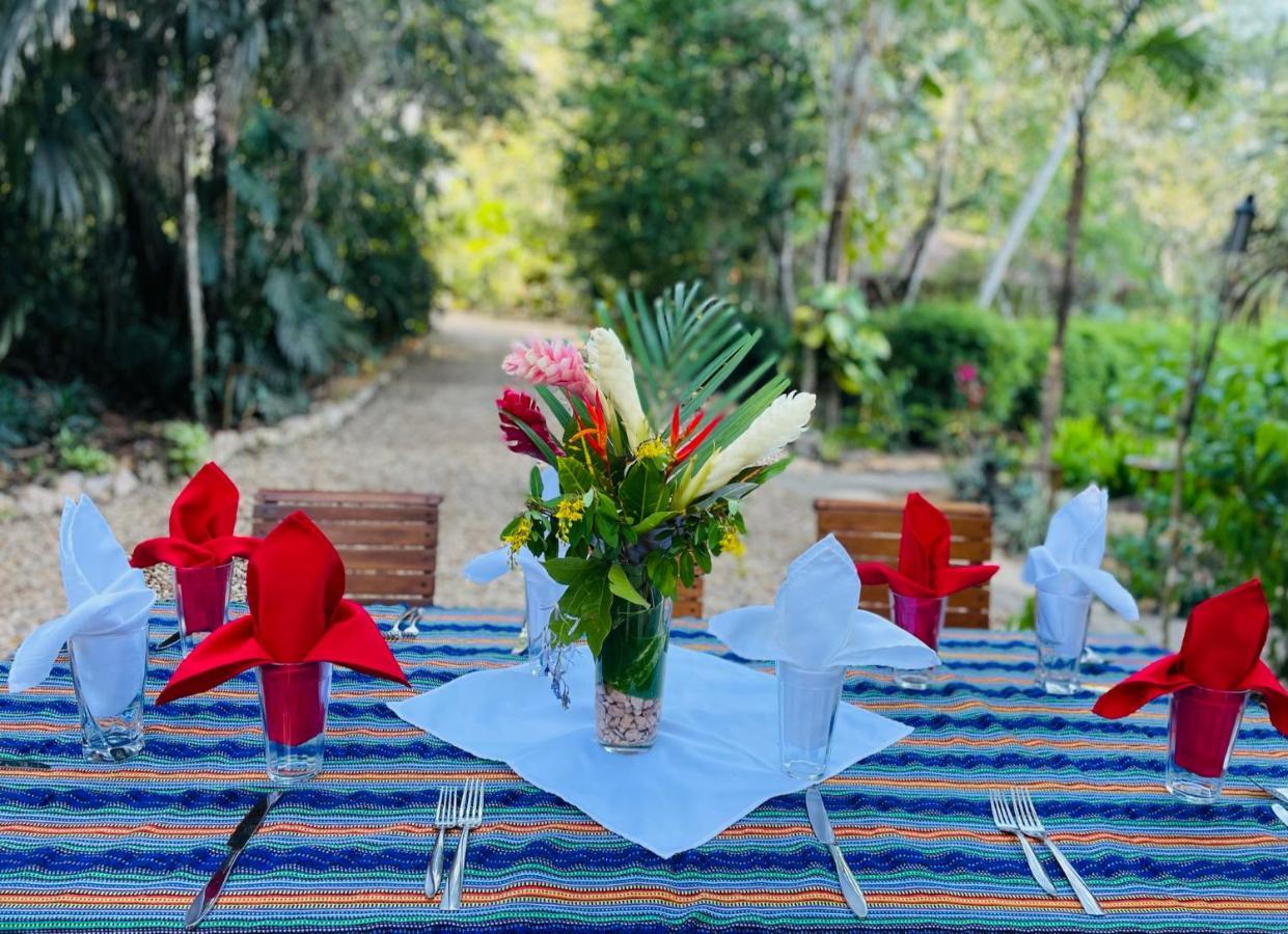 Mariposa Jungle Lodge Сан Игнасио Екстериор снимка